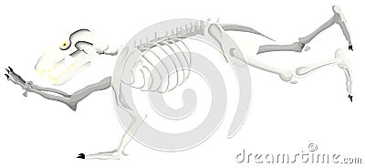 Bear skeleton is running alone Vector Illustration