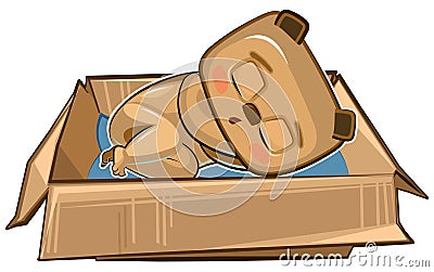 The Bear sleeps in a cardboard box. A pet as a gift or a homeless person. Childrens illustration. The cute animal fell Vector Illustration