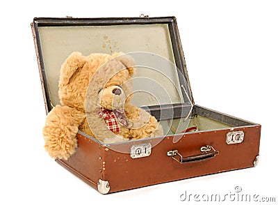 Bear in a suitcase Stock Photo