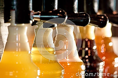 Bear taps filling bottles. Stock Photo