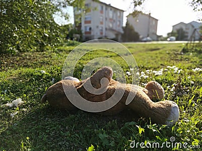 The bear is thrown on the lawn, cotton wool is scattered around Stock Photo