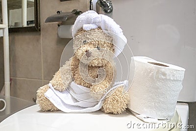 Bear is in toilet Stock Photo
