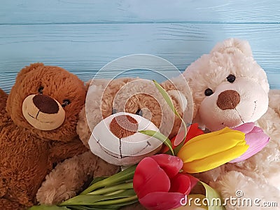 Bear toy with tulips, softness birthday on a wooden background Stock Photo