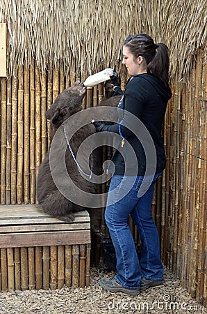 Bear and trainer Editorial Stock Photo