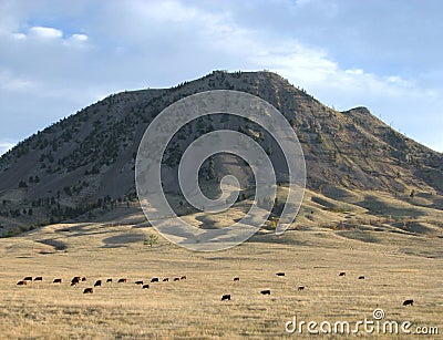 BearButte Stock Photo