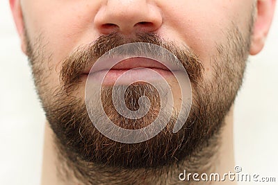 Beard and Mustache Stock Photo