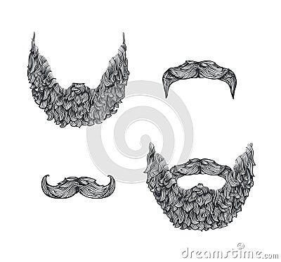 Beard set Vector Illustration