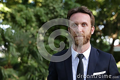 Bearded businessman, politician, boss, entrepreneur, or best man Stock Photo