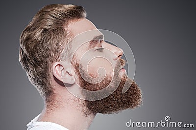 Bearded handsome. Stock Photo