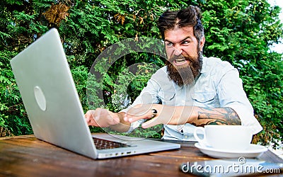 Bearded man freelance worker. Remote job. Freelance professional occupation. Hipster busy with freelance. Wifi and Stock Photo