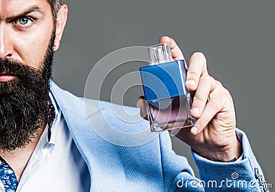 Bearded man holding up bottle of perfume. Man perfume, fragrance. Masculine perfume. Male fragrance and perfumery Stock Photo