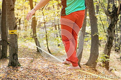 A bearded man in return is developing balance while walking along the slackline in the autumn forest on a sunny day. The Stock Photo