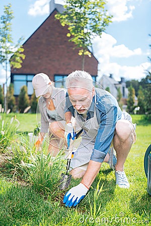 Bearded mature man holding little shovel while grubbing the weeds up Stock Photo