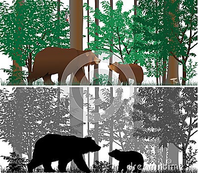 Bears Vector Illustration