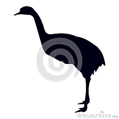 Bird silhouette Vector Illustration