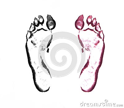 Beast footprints on white Stock Photo