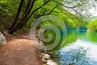 Beaten track near a forest lake Stock Photo