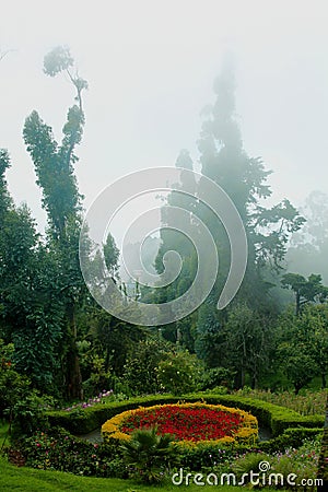 Beatiful designed park flower bed with mist the bryant park. Stock Photo