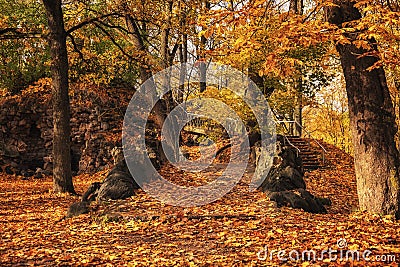 beatiful golden autumn Stock Photo