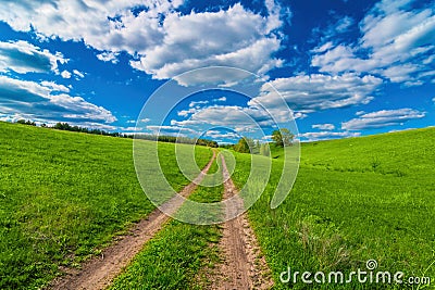 Beatiful green grass lawn hill to forest under cloudy sky Stock Photo