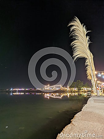 Beatiful Night in the beach Stock Photo