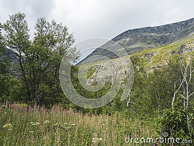 Beatiful northern landscape, tundra in Swedish Lapland with small waterfall, green hills and mountains at Stock Photo