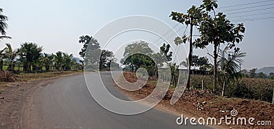 Beatiful road side with background different trees Stock Photo