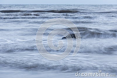 Beatiful seascape background, rock in the Irish Sea at Seascale, Cumbria, England, UK Stock Photo