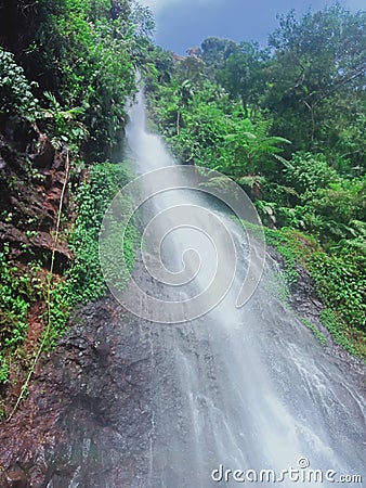 Beatiful Waterfall green landscape Stock Photo