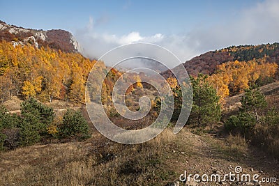 Beatyful natural lanscape background with tree and mount Stock Photo