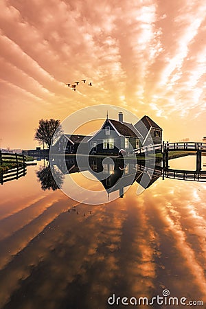 Beaucoutif typical Dutch wooden houses architecture mirrored on Stock Photo