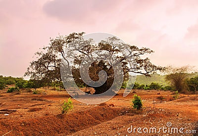 Beaurtiful pink sunset. Colorful nature landscape. Gokarna, Karnataka, India Stock Photo