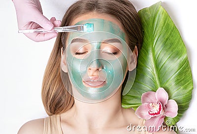 Beautician makes a face mask of a woman to rejuvenate the skin. Cosmetology treatment of problem skin on the face and body Stock Photo