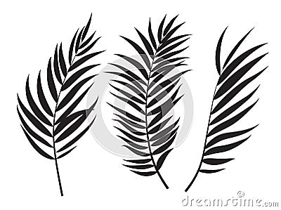 Beautifil Palm Tree Leaf Silhouette Background Vector Illustration Vector Illustration