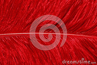 Beautiful abstract background consisting of pink guinea fowl feathers Stock Photo