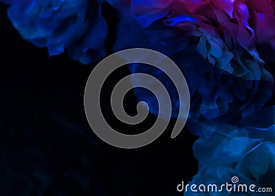 Beautiful abstract color purple and blue flowers on black background and purple graphic flower frame and pink leaves texture, blue Stock Photo