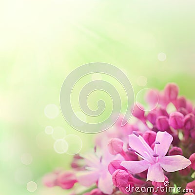 Beautiful abstract floral background Stock Photo