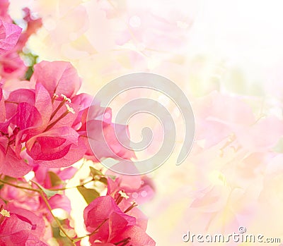 Beautiful abstract floral background Stock Photo