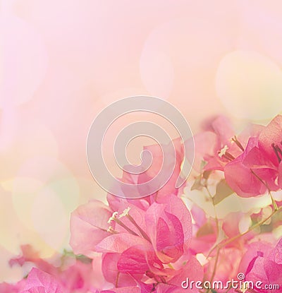 Beautiful abstract floral background Stock Photo