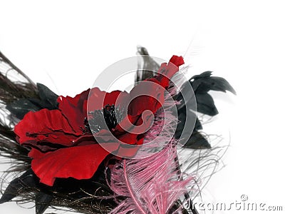 Beautiful abstract flower display against white Stock Photo