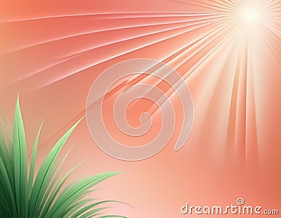 Beautiful abstract peach green gradient background with light rays, smooth lines, tropical leaves and grass. Delicate Stock Photo