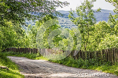 Beautiful abundant natural shades of spring green mountain. Spring colours in the mountain forest. Romania, Valea Doftanei Stock Photo