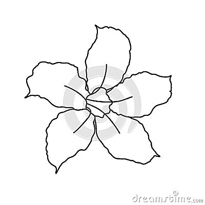 Beautiful Adenium Flower Line Art. One Line Artwork, Minimalist Contour Drawing - Vector Vector Illustration