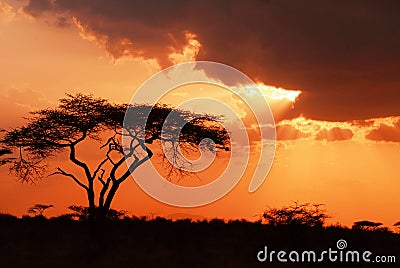 Beautiful african sunset Stock Photo