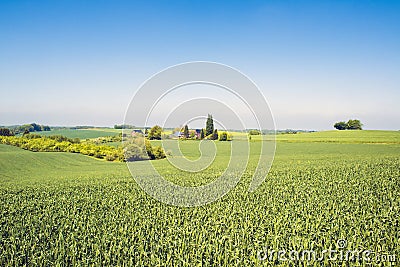 Beautiful agrarian landscape with fields, blue sky and farm near Dusseldorf, Germany. No street, no industry, no other buildings. Stock Photo