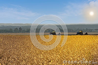 Beautiful agricultural landscape with filed of golden wheat and two old tractors equipped with seeders Stock Photo