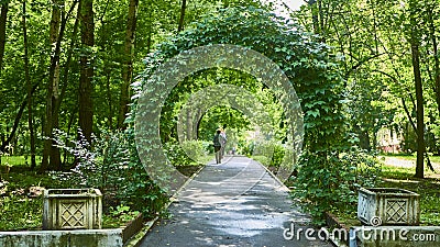 beautiful alley in the city park. general plan. color Editorial Stock Photo