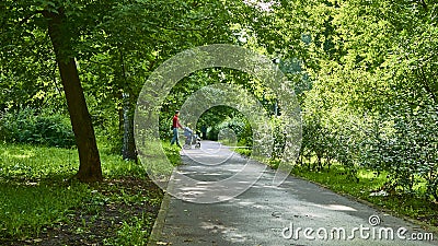 beautiful alley in the city park. general plan. color Editorial Stock Photo