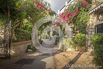 Beautiful alley full of trees and flowers on Capri Island, Italy Stock Photo