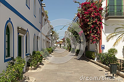 Beautiful alley of Garn Canaria Editorial Stock Photo